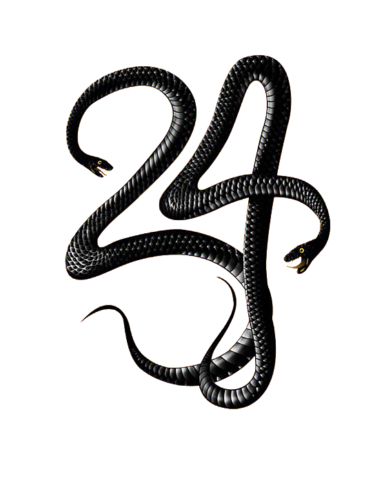 Black Mamba Snake Png Image (black)