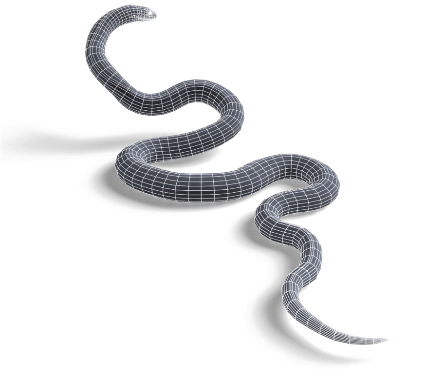 Black Mamba Snake Png Pic (black, lavender, white)