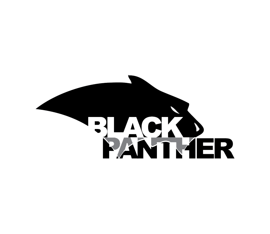 Black Panther Logo Png Image (white, black, silver)