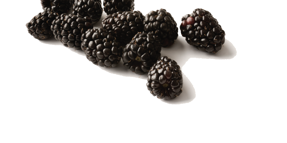 Black Raspberries Png Free Download (black, white)