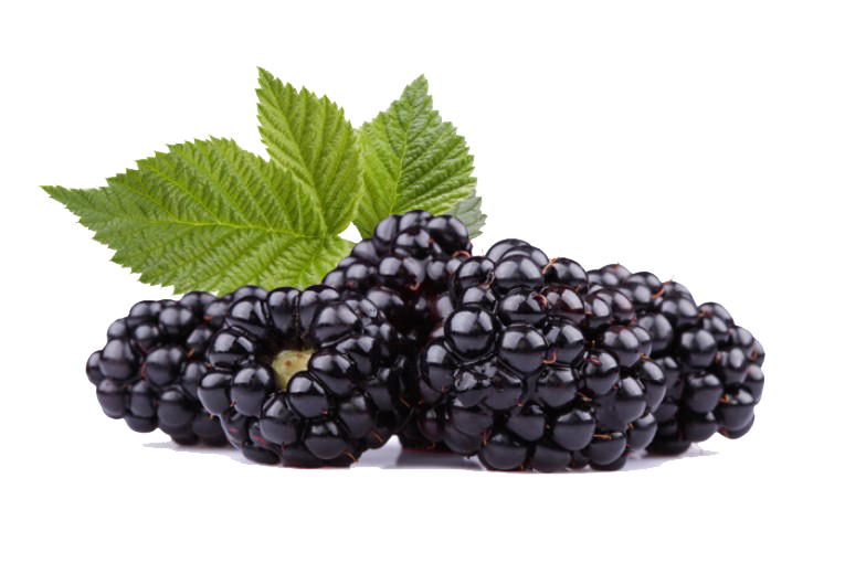 Black Raspberries Png Hd (black, indigo, white)