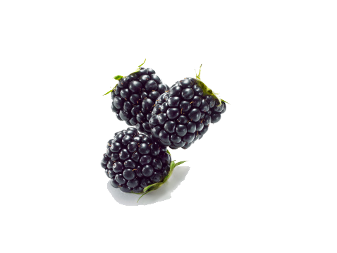 Black Raspberries Png Image (black, indigo, white)