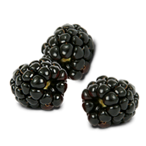 Black Raspberries Png Pic (pink, beige, black, gray, white)