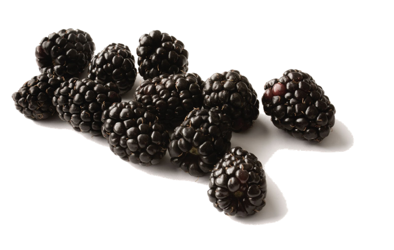 Black Raspberries Transparent Background (black)