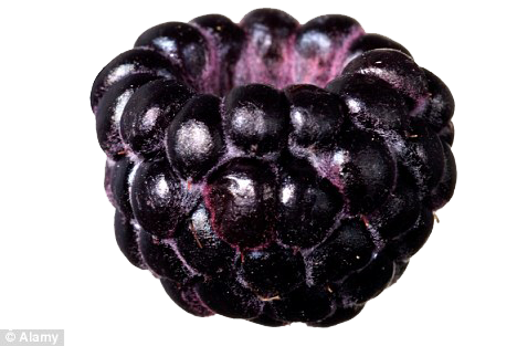 Black Raspberries Transparent Png (black, white)