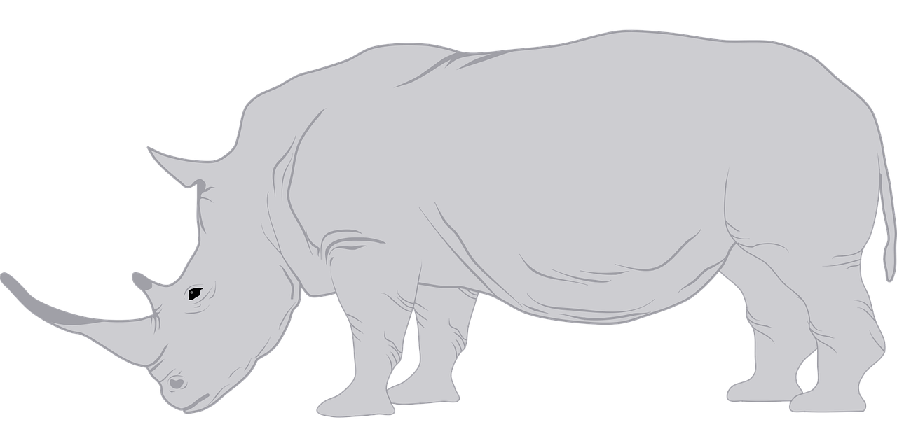 Black Rhinoceros Download Png Image (black, silver)