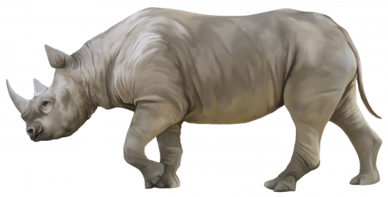 Black Rhinoceros Png Isolated Image (black, gray)