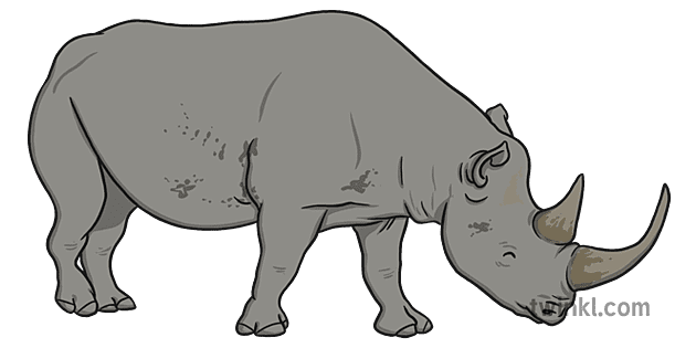 Black Rhinoceros Png Photos (gray)