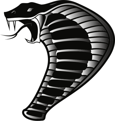 Black Snake Transparent Png (black)