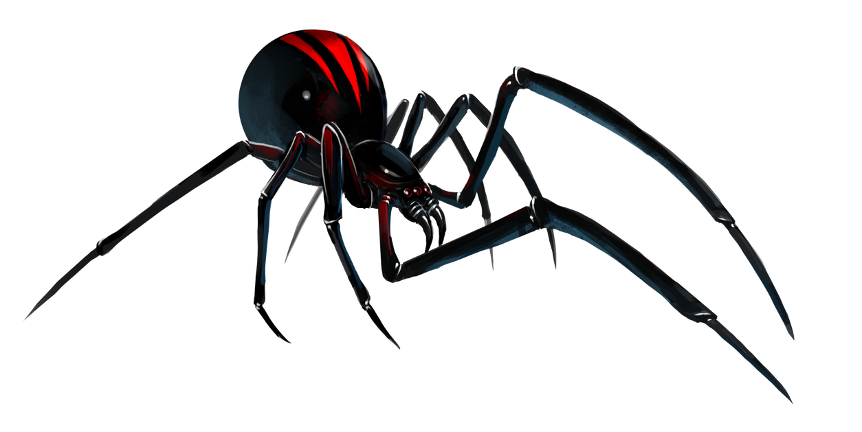 Black Widow Spider Png File (black)