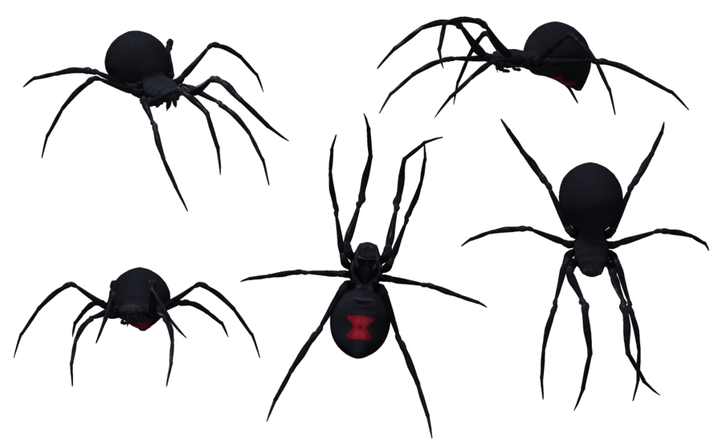 Black Widow Spider (black)