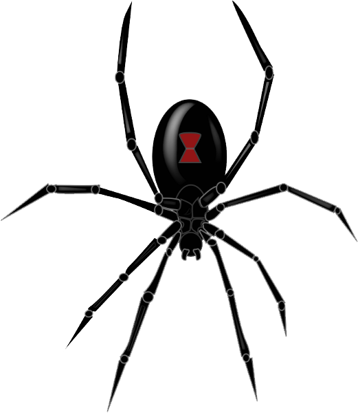 Black Widow Spiders Png Clipart (white, black)