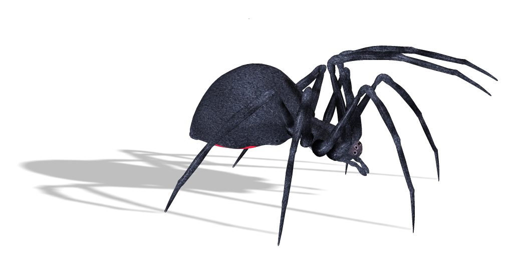 Black Widow Spiders Png Free Download (white, black, silver, lavender, gray)