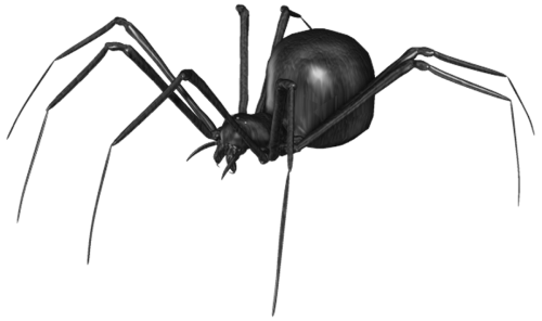 Black Widow Spiders Png Hd (black, indigo)