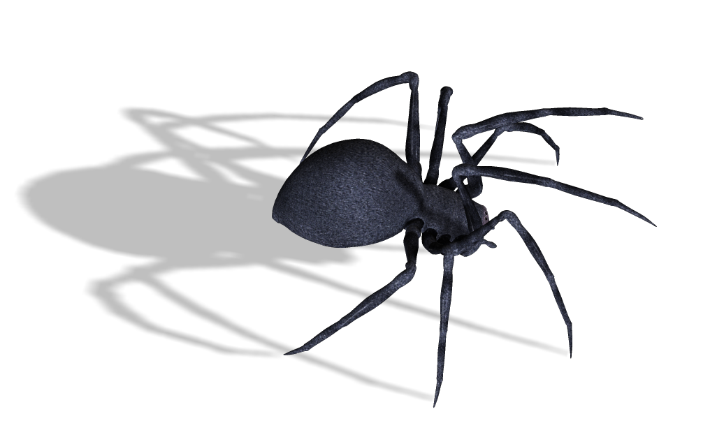 Black Widow Spiders Png Image (black, indigo)