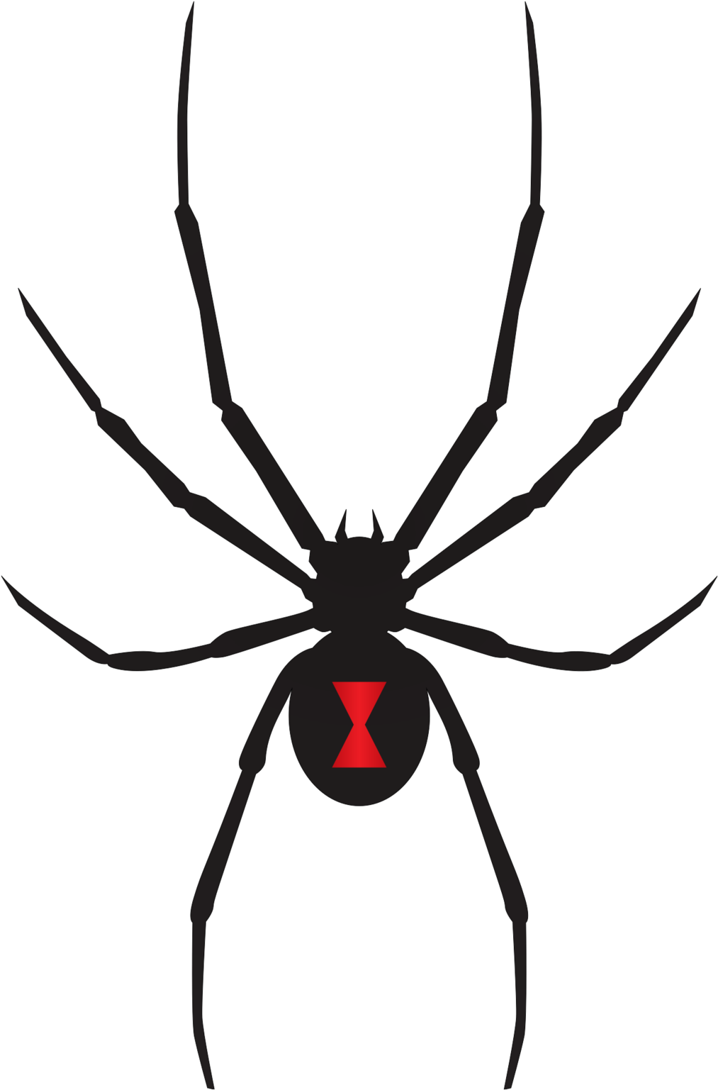 Black Widow Spiders Png Photos (black)