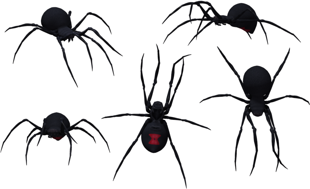 Black Widow Spiders Png Transparent (black)