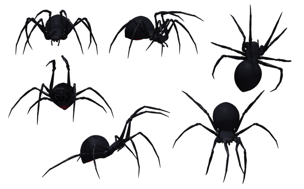 Black Widow Spiders Transparent Png (black)