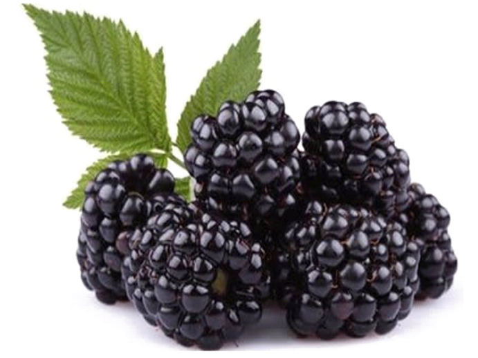 Blackberry Fruit Png Free Download (white, black)