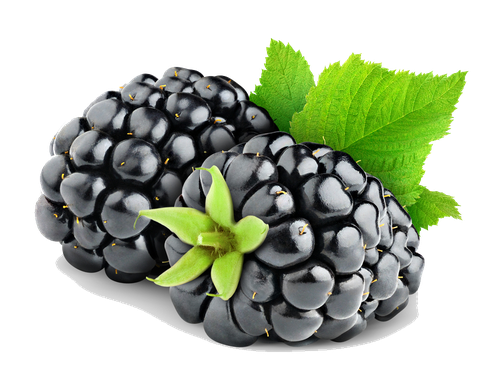 Blackberry Fruit Png Hd (black, gray, silver)