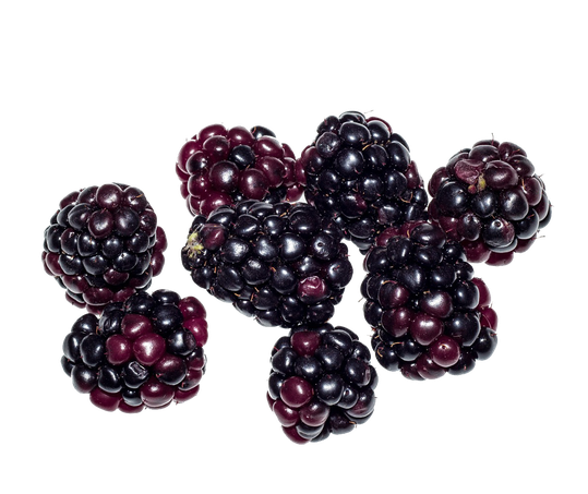 Blackberry Fruit Png Image (black)