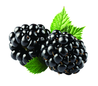 Blackberry Fruit Png Transparent Image (black)