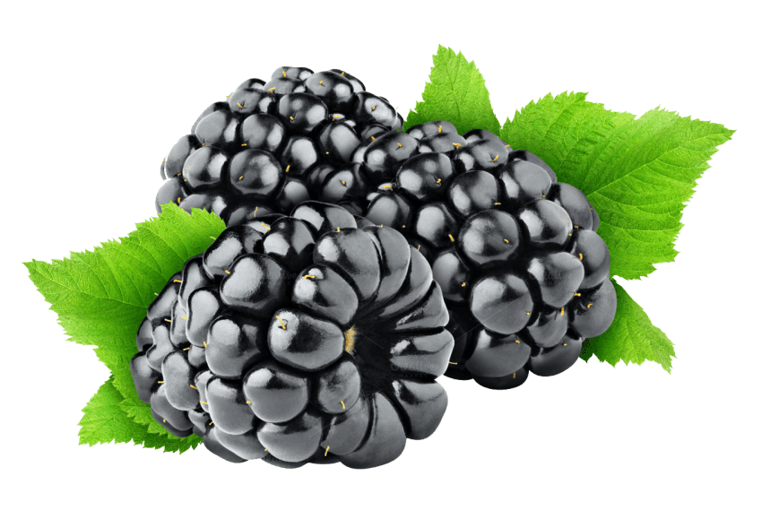 Blackberry Fruit Transparent Background (black, gray)