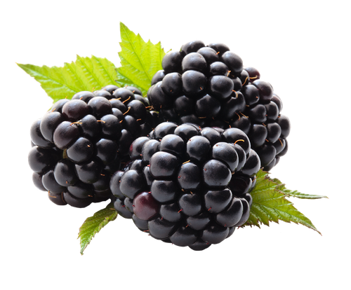 Blackberry Fruit Transparent Png (black)