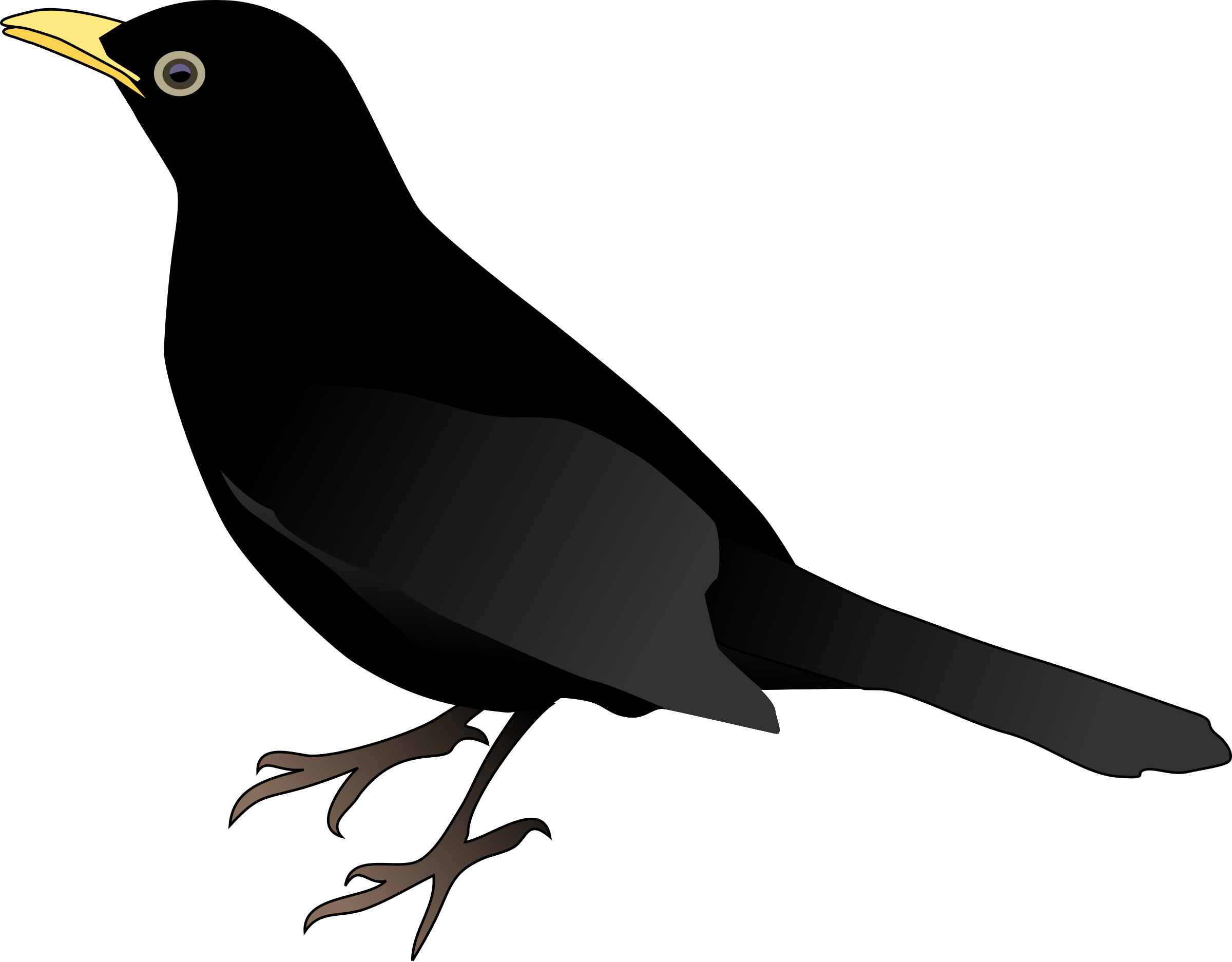 Blackbird Png Clipart (black)