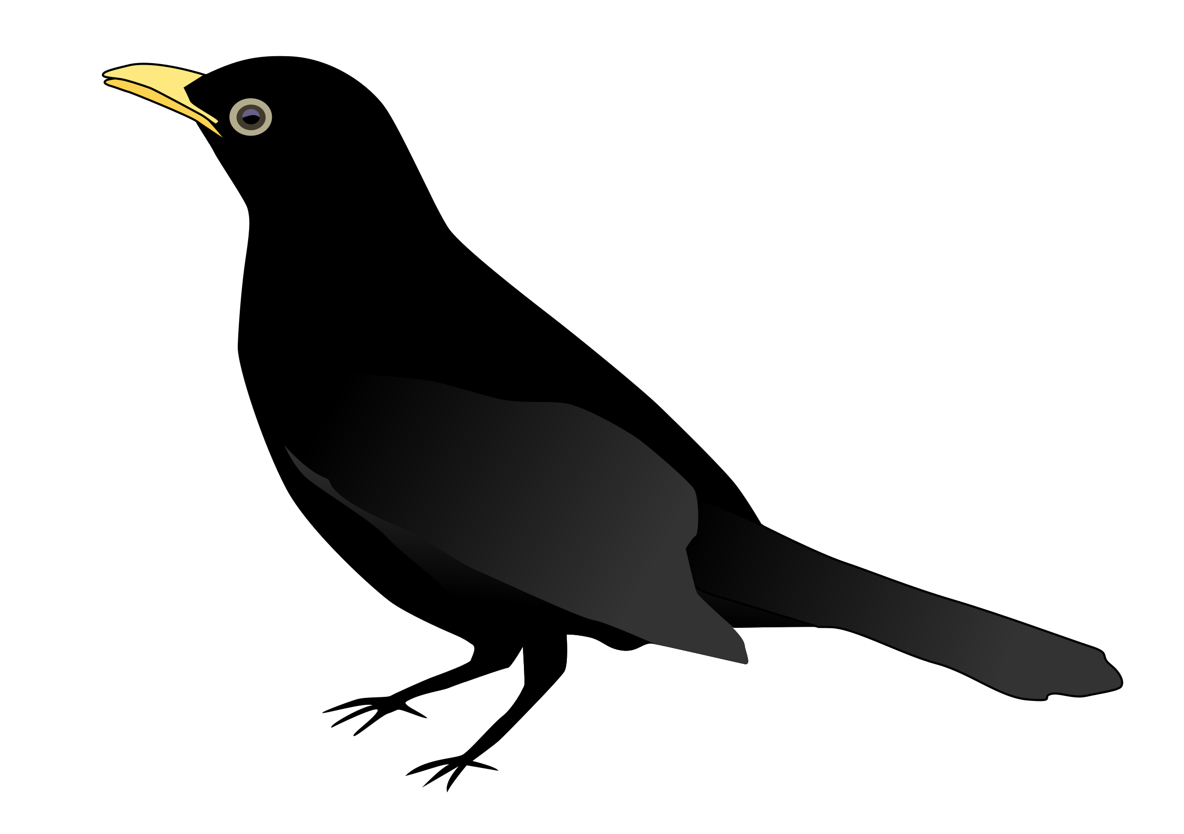 Blackbird Png Pic (black)