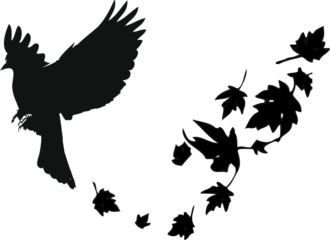 Blackbird Png Transparent Image (white, black)