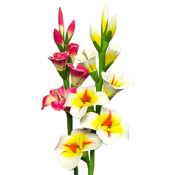 Gladiolus Flower Png Image (gray, white, silver, beige, pink)