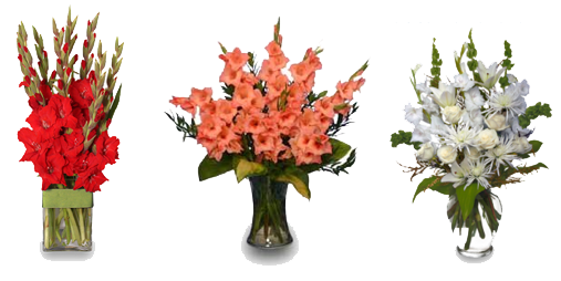 Gladiolus Png Image 1 (lavender, white)