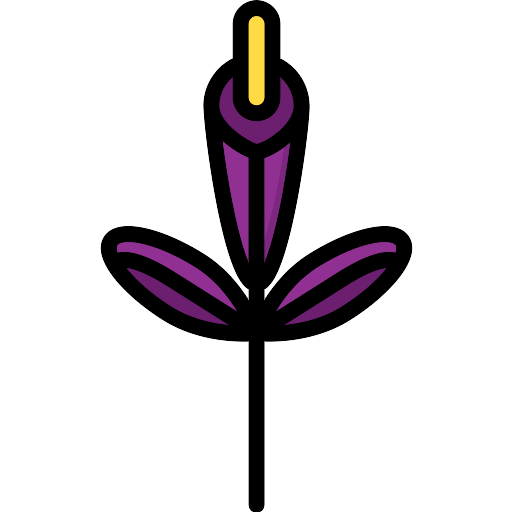 Gladiolus Png Image File (olive, gold, indigo, purple, black)