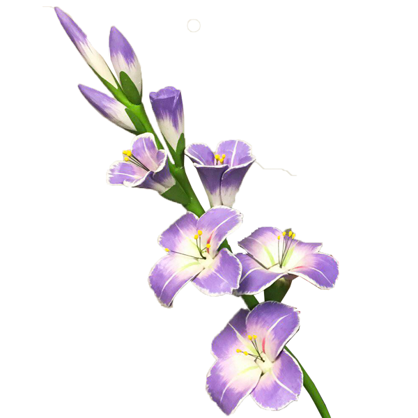 Gladiolus Png Picture 1 (beige, silver, white)