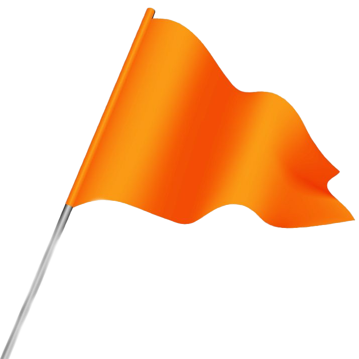 Plain Orange Flag Png Image (chocolate, orange, white)