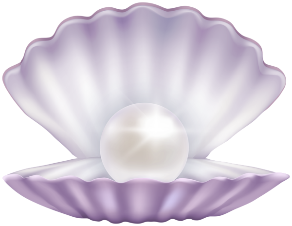 Clam Muscle Png File (black, lavender, white, silver)