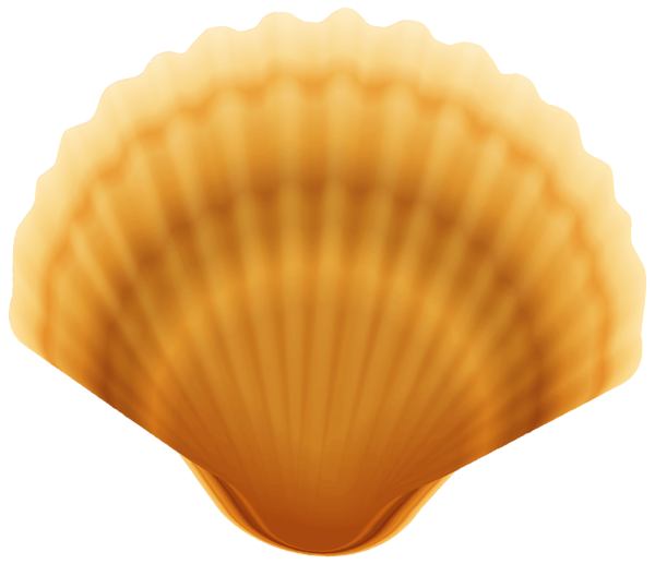 Clam Png Photo (chocolate, black)