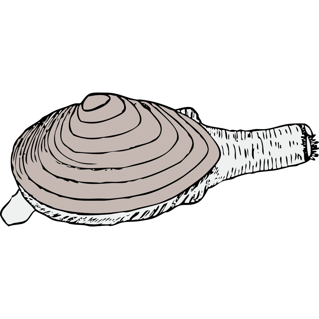 Clam Png Picture (black, lavender, silver)