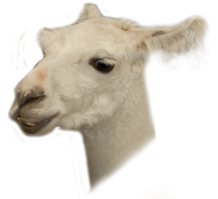 Llama Png Hd Isolated (white, silver, black, gray)