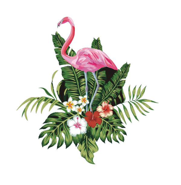 Flamingo Bird Vector Flower Transparent Png (black, white)