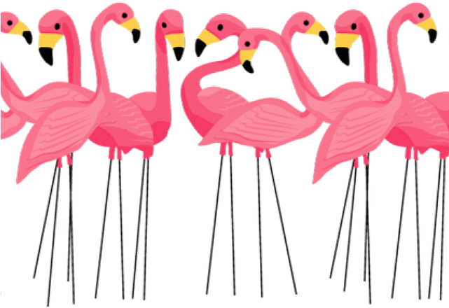 Flamingo Bird Vector Love Transparent Png (black, salmon)