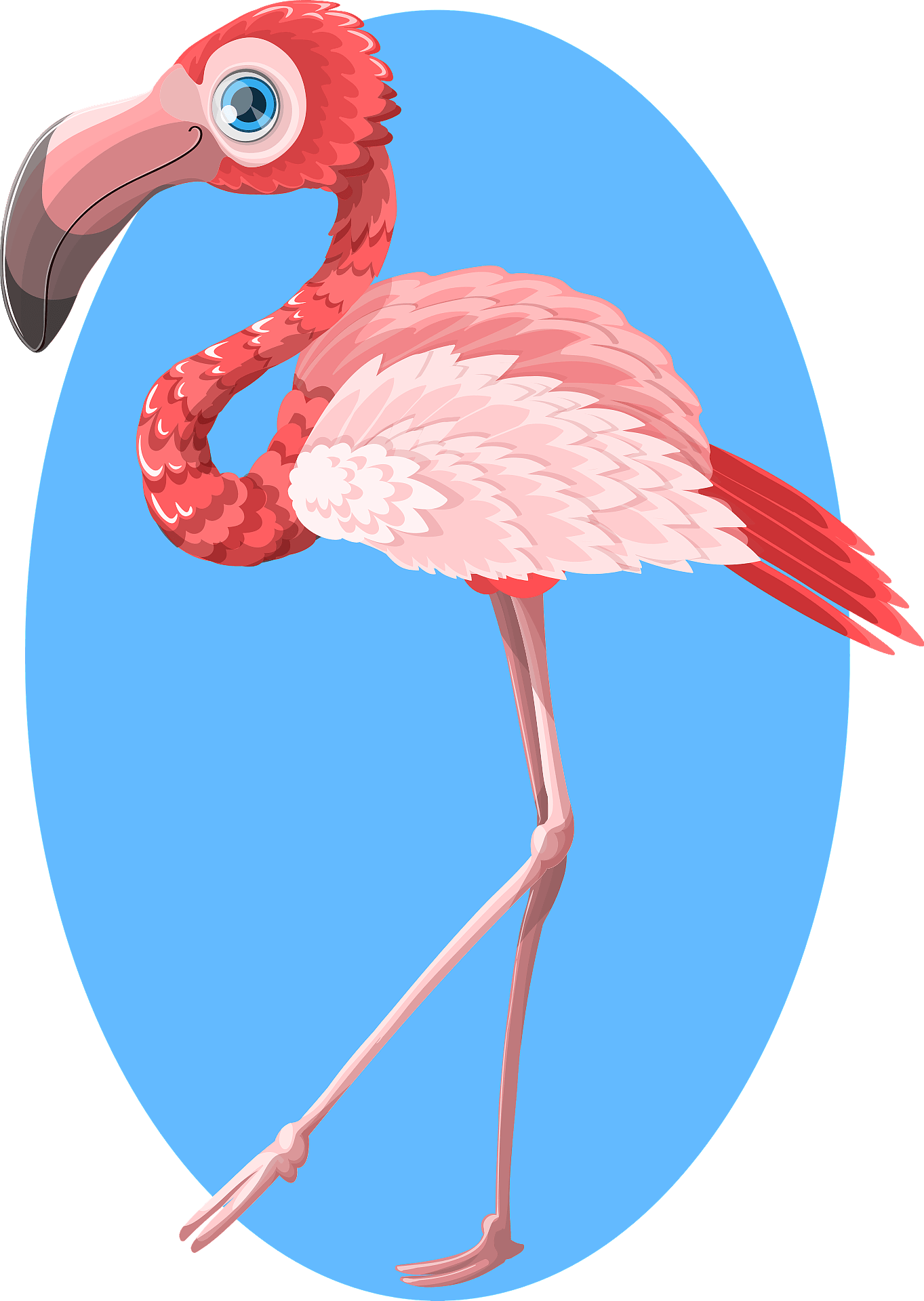 Flamingo Bird Vector Pink Clipart Transparent Png (gray, silver)