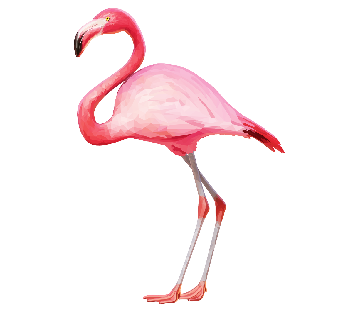 Flamingo Bird Vector Transparent Png (beige, pink, white)