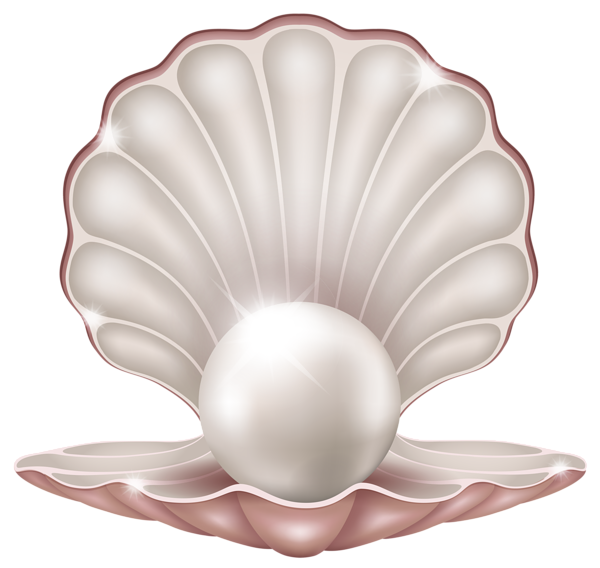 Clams Png Image (silver, beige, black, white)