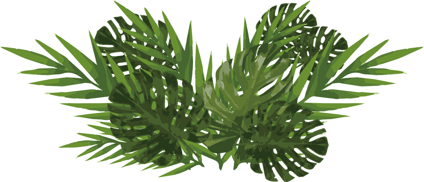 Plant Png Hd Isolated (black, green, olive)