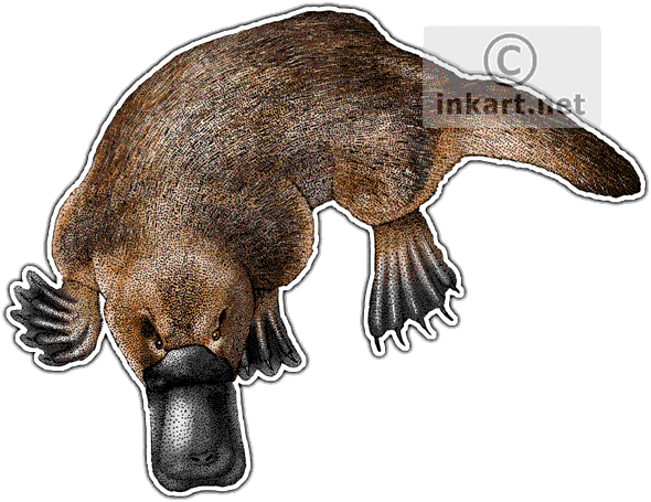 Platypus Png Isolated File (lavender, white, silver)