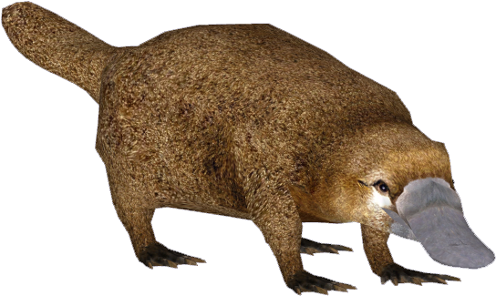 Platypus Png Isolated Pic (black, olive)