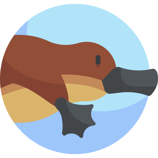 Platypus Png Picture (lavender, silver, salmon, chocolate, black)