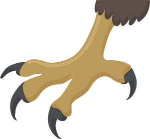 Claws Png Pic (gray, salmon, chocolate)